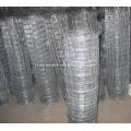 /msite/products/detail/productid/48987737/id/514477.html